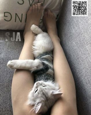 康熙微服私访记三_720韩国电影在线观看