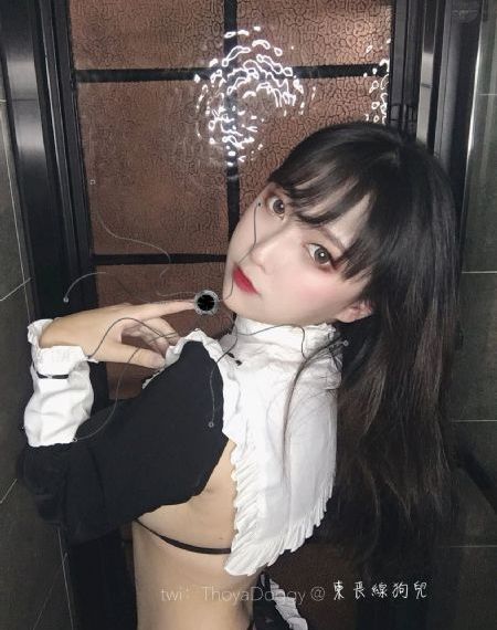 动漫网站_DVD免费观看