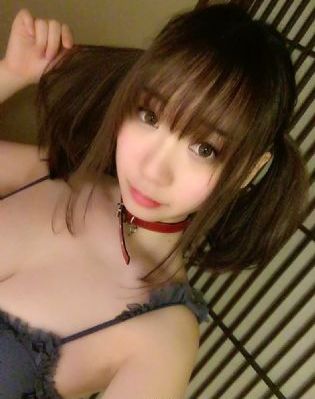 双探电视剧全集免费观看高清_HD在线观看电视